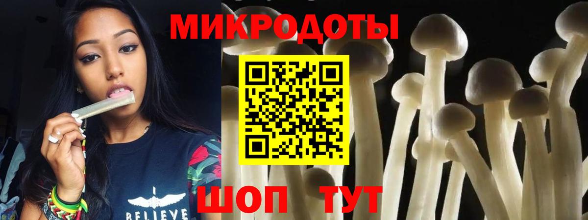 Псилоцибиновые грибы Cubensis Улан-Удэ